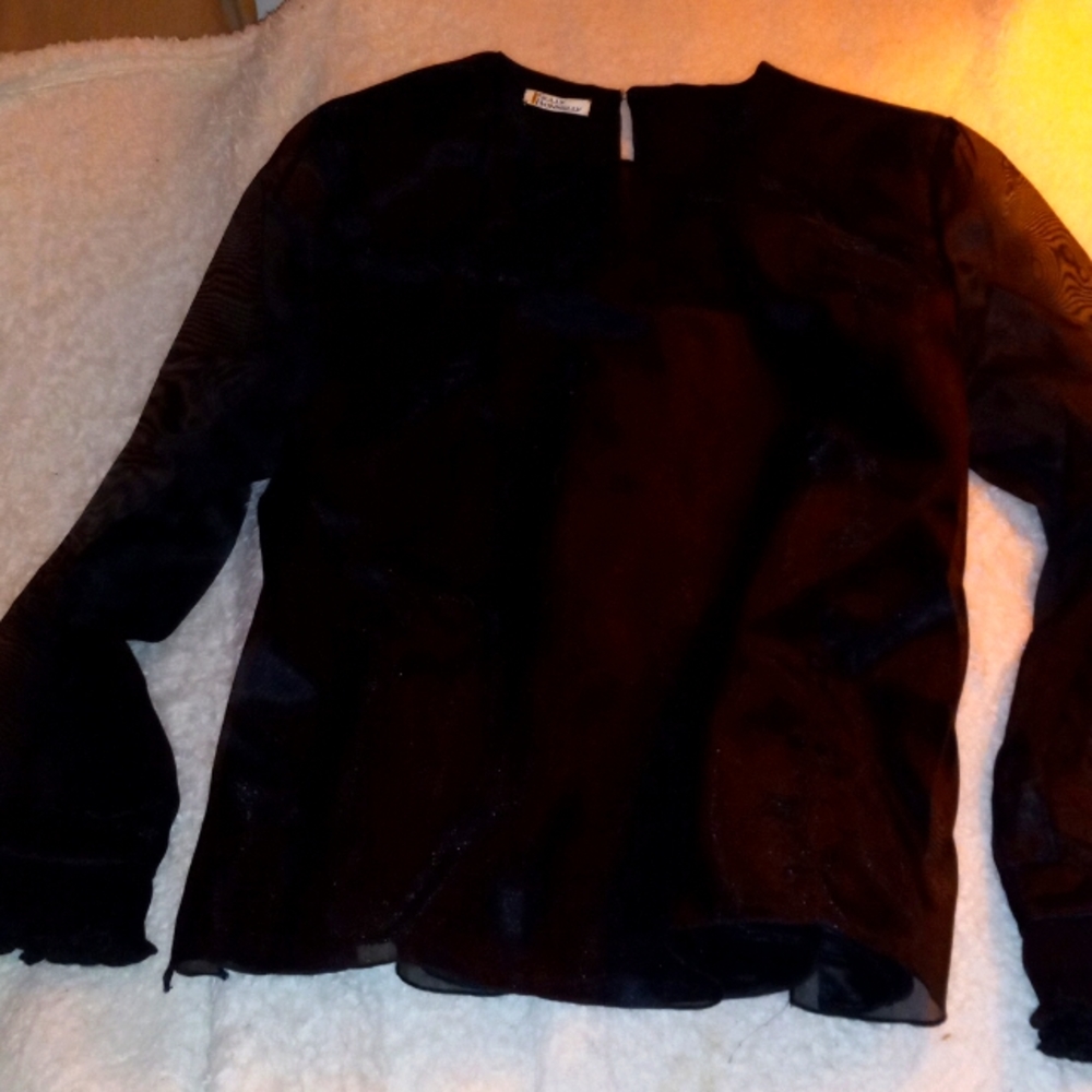 Sheer Black Blouse